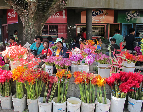 Flowers at the market