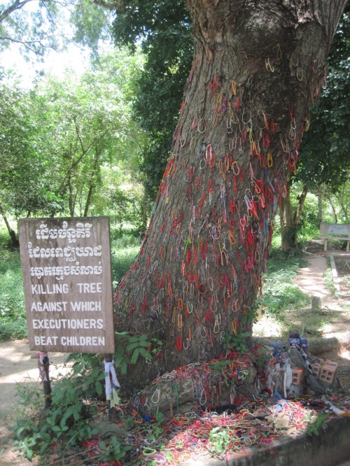 The Khmer Rouge used this tree to beat and kill babies. Right beside it was a mass grave sof over 200 women and children. 
